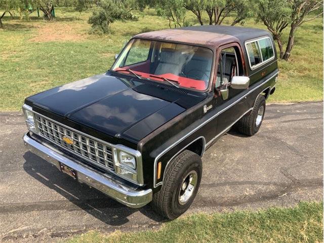 1980 Chevrolet Blazer (CC-2098365) for sale in Fredericksburg, Texas