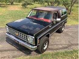 1980 Chevrolet Blazer (CC-2098365) for sale in Fredericksburg, Texas