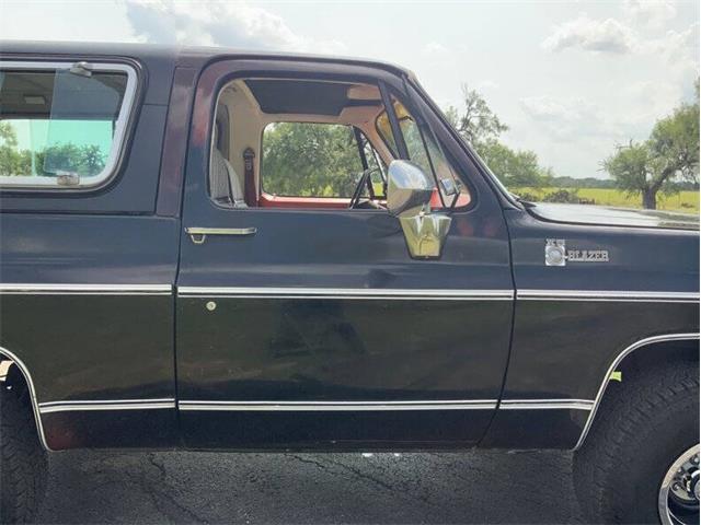 1980 Chevrolet Blazer (CC-2098365) for sale in Fredericksburg, Texas