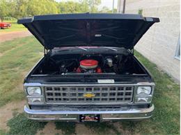 1980 Chevrolet Blazer (CC-2098365) for sale in Fredericksburg, Texas
