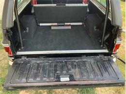1980 Chevrolet Blazer (CC-2098365) for sale in Fredericksburg, Texas