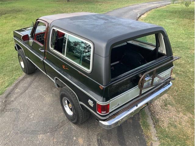 1980 Chevrolet Blazer (CC-2098365) for sale in Fredericksburg, Texas