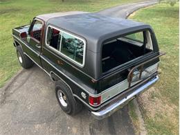 1980 Chevrolet Blazer (CC-2098365) for sale in Fredericksburg, Texas