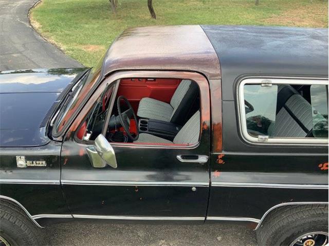 1980 Chevrolet Blazer (CC-2098365) for sale in Fredericksburg, Texas