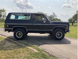 1980 Chevrolet Blazer (CC-2098365) for sale in Fredericksburg, Texas