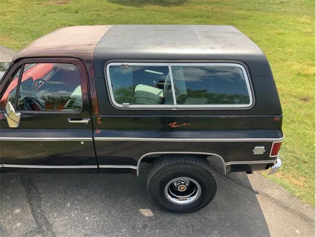 1980 Chevrolet Blazer (CC-2098365) for sale in Fredericksburg, Texas