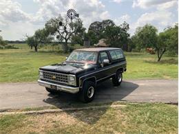 1980 Chevrolet Blazer (CC-2098365) for sale in Fredericksburg, Texas