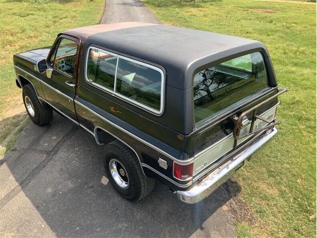 1980 Chevrolet Blazer (CC-2098365) for sale in Fredericksburg, Texas
