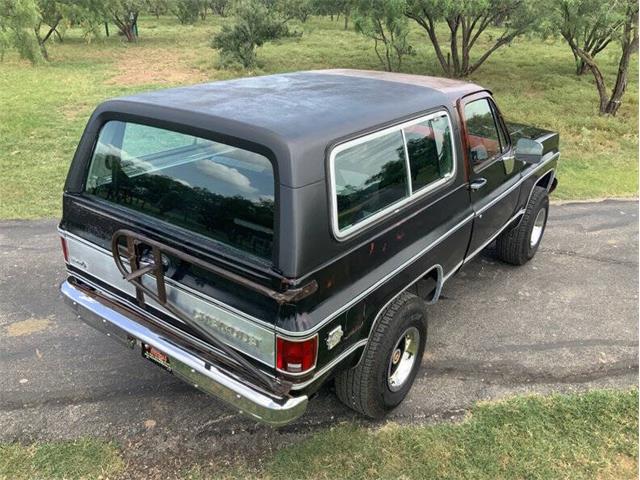1980 Chevrolet Blazer (CC-2098365) for sale in Fredericksburg, Texas