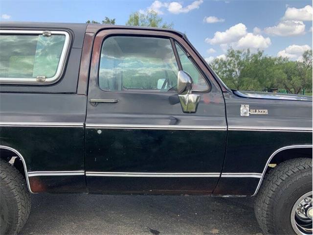 1980 Chevrolet Blazer (CC-2098365) for sale in Fredericksburg, Texas