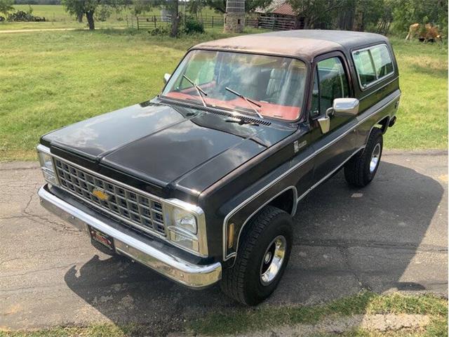 1980 Chevrolet Blazer (CC-2098365) for sale in Fredericksburg, Texas