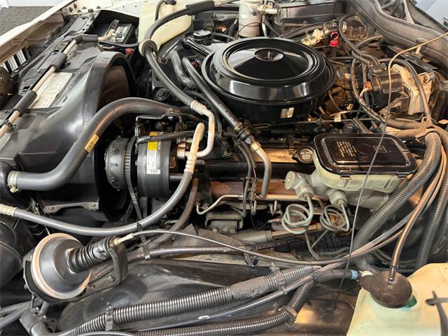 1985 Pontiac Parisienne (CC-2098366) for sale in Mundelein, Illinois