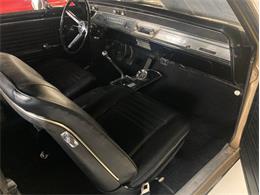 1967 Chevrolet Chevelle SS (CC-2098374) for sale in North Canton, Ohio