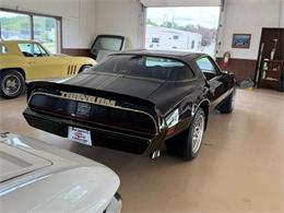 1979 Pontiac Firebird Trans Am (CC-2098379) for sale in North Canton, Ohio