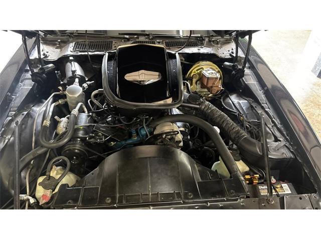 1979 Pontiac Firebird Trans Am (CC-2098379) for sale in North Canton, Ohio