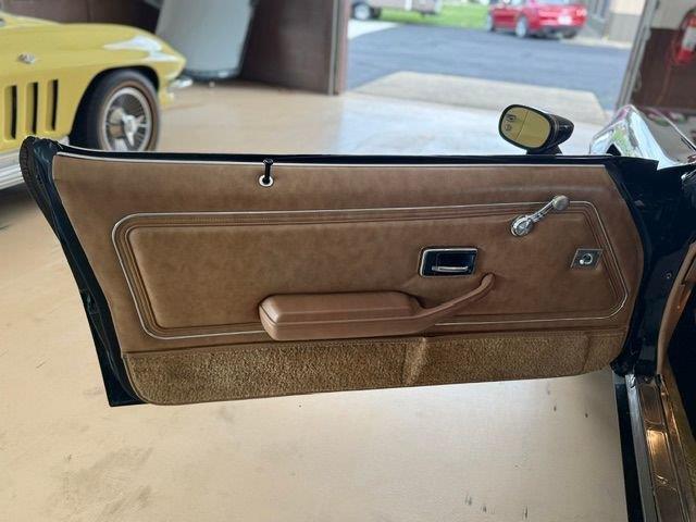 1979 Pontiac Firebird Trans Am (CC-2098379) for sale in North Canton, Ohio