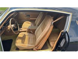 1979 Pontiac Firebird Trans Am (CC-2098379) for sale in North Canton, Ohio