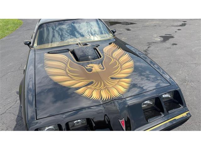 1979 Pontiac Firebird Trans Am (CC-2098379) for sale in North Canton, Ohio