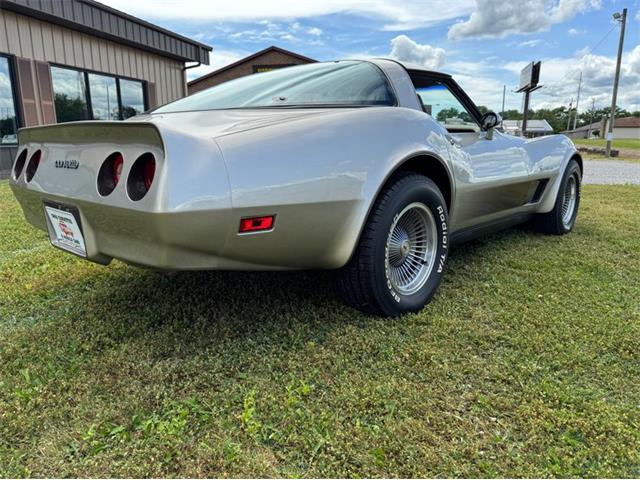 1982 Chevrolet Corvette (CC-2098386) for sale in North Canton, Ohio