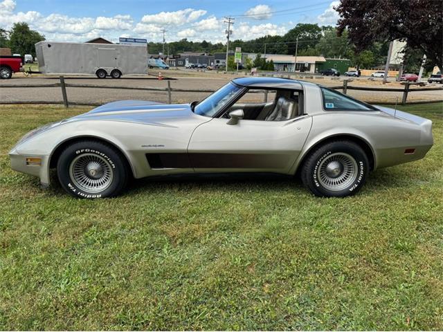 1982 Chevrolet Corvette (CC-2098386) for sale in North Canton, Ohio