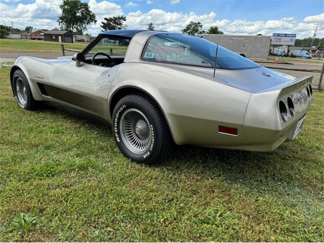 1982 Chevrolet Corvette (CC-2098386) for sale in North Canton, Ohio