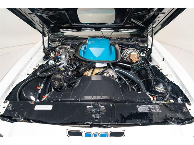 1971 Pontiac Firebird Trans Am (CC-2098390) for sale in Fort Lauderdale, Florida