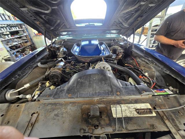 1976 Pontiac Firebird Trans Am (CC-2090841) for sale in St. Charles, Illinois