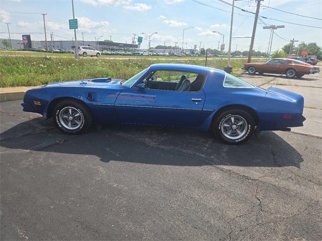1976 Pontiac Firebird Trans Am (CC-2090841) for sale in St. Charles, Illinois