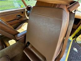 1979 Pontiac Firebird Trans Am (CC-2098424) for sale in Sioux City, Iowa