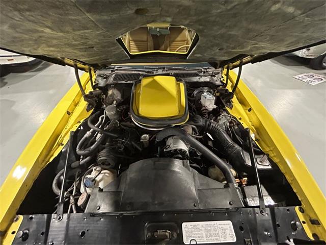 1979 Pontiac Firebird Trans Am (CC-2098424) for sale in Sioux City, Iowa