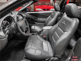 2003 Ford Mustang (CC-2098432) for sale in Glen Ellyn, Illinois