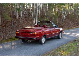 1985 Renault Alliance (CC-2098451) for sale in Hickory, North Carolina