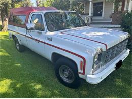 1977 Chevrolet C20 (CC-2098576) for sale in Cadillac, Michigan