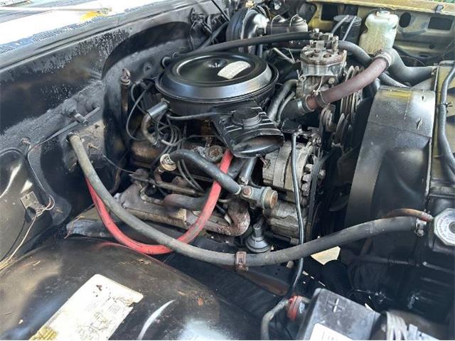 1977 Chevrolet C20 (CC-2098576) for sale in Cadillac, Michigan