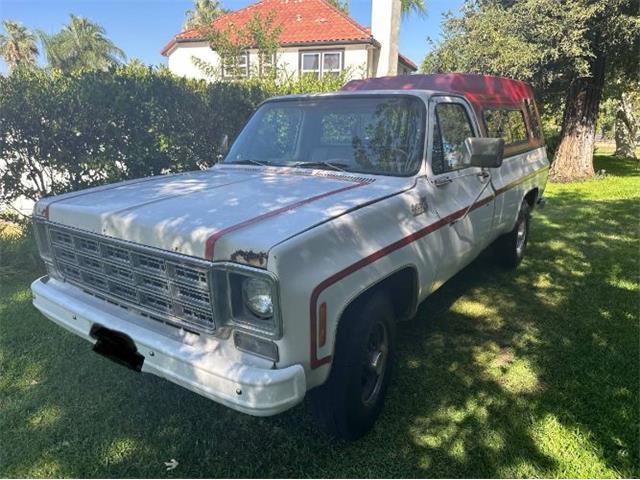 1977 Chevrolet C20 (CC-2098576) for sale in Cadillac, Michigan