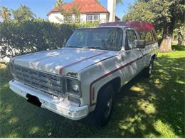 1977 Chevrolet C20 (CC-2098576) for sale in Cadillac, Michigan