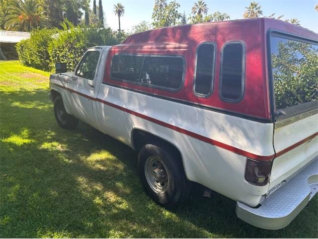 1977 Chevrolet C20 (CC-2098576) for sale in Cadillac, Michigan