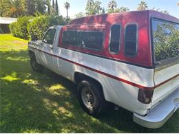 1977 Chevrolet C20 (CC-2098576) for sale in Cadillac, Michigan