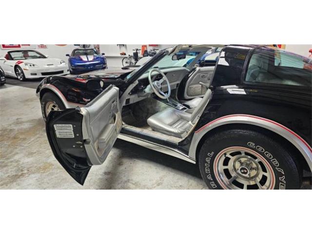 1978 Chevrolet Corvette (CC-2098593) for sale in Cadillac, Michigan