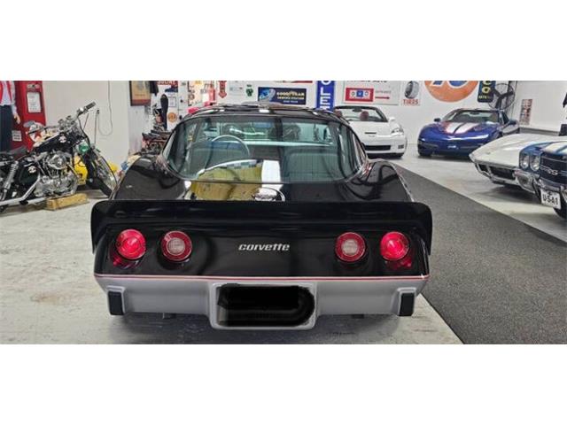 1978 Chevrolet Corvette (CC-2098593) for sale in Cadillac, Michigan