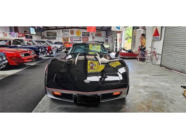 1978 Chevrolet Corvette (CC-2098593) for sale in Cadillac, Michigan