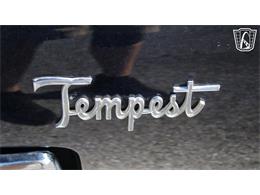 1966 Pontiac Tempest (CC-2098598) for sale in Lake Mary, Florida