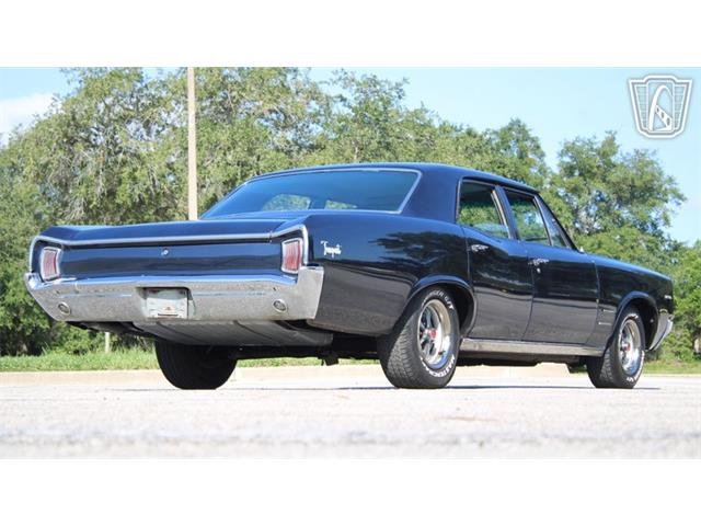 1966 Pontiac Tempest (CC-2098598) for sale in Lake Mary, Florida