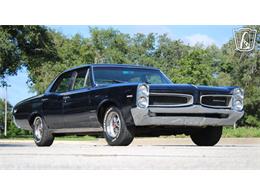 1966 Pontiac Tempest (CC-2098598) for sale in Lake Mary, Florida