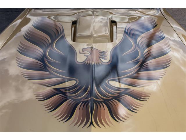 1978 Pontiac Firebird Trans Am (CC-2098607) for sale in Addison, Illinois