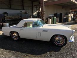 1956 Ford Thunderbird (CC-2098620) for sale in Cadillac, Michigan