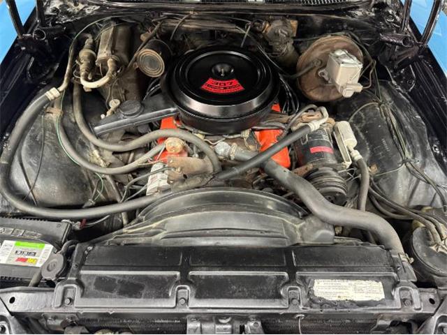 1971 Chevrolet Chevelle (CC-2098622) for sale in Cadillac, Michigan