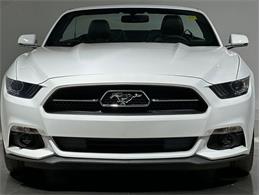 2015 Ford Mustang (CC-2098628) for sale in Depew, New York