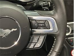 2015 Ford Mustang (CC-2098628) for sale in Depew, New York