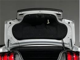 2015 Ford Mustang (CC-2098628) for sale in Depew, New York